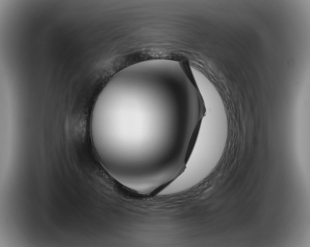 X0000085070697200703121642