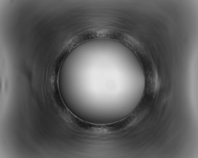 X0000085070698200703121642