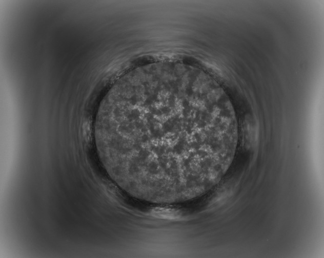 X0000085070699200703121642