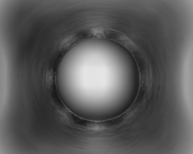 X0000085070702200703121642