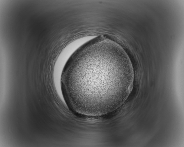 X0000085070703200703121642