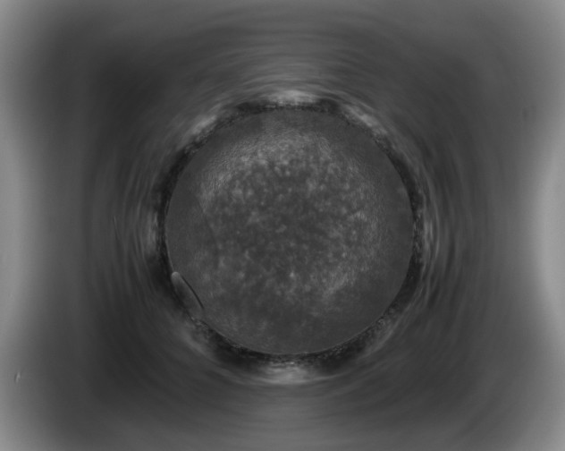 X0000085070704200703121642