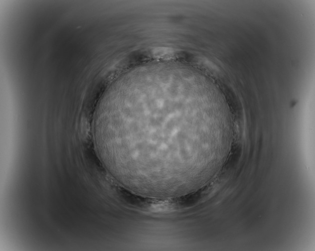 X0000085070705200703121642