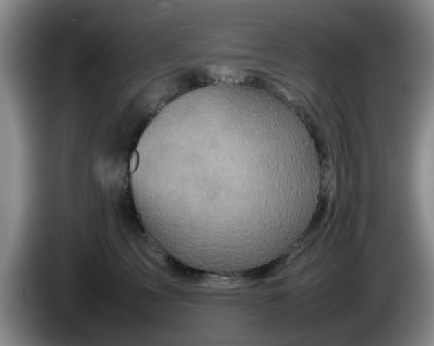 X0000085070713200703121642