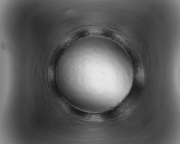 X0000085070715200703121642