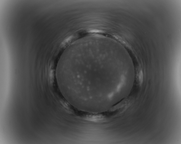 X0000085070716200703121642