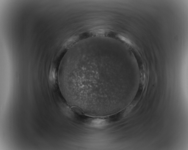 X0000085070718200703121642