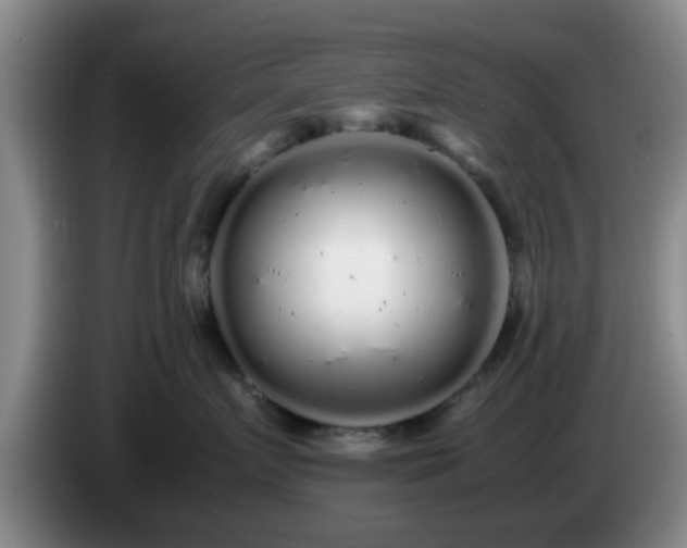 X0000085070719200703121642