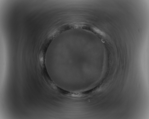 X0000085070720200703121642