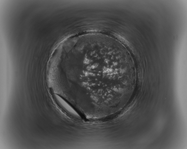 X0000085070721200703121641