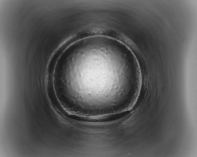 X0000085070722200703121641