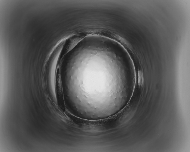 X0000085070723200703121641