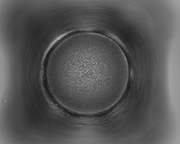 X0000085070724200703121641