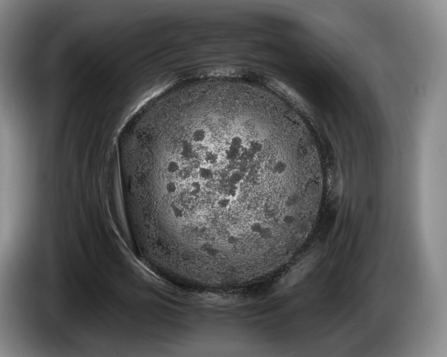 X0000085070725200703121641