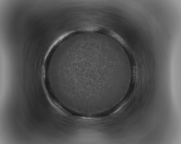 X0000085070726200703121641