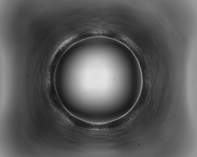 X0000085070727200703121641