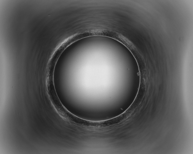 X0000085070728200703121641