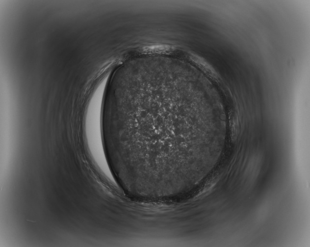 X0000085070729200703121641