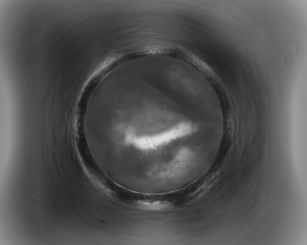 X0000085070730200703121641