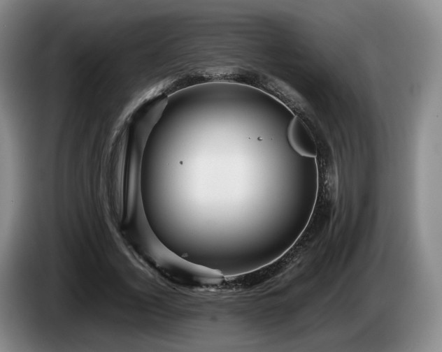 X0000085070732200703121641