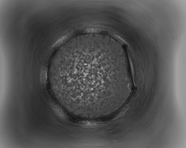 X0000085070733200703121641