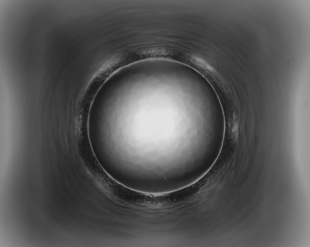 X0000085070735200703121641