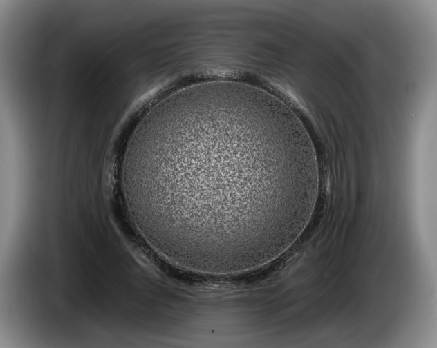 X0000085070736200703121641