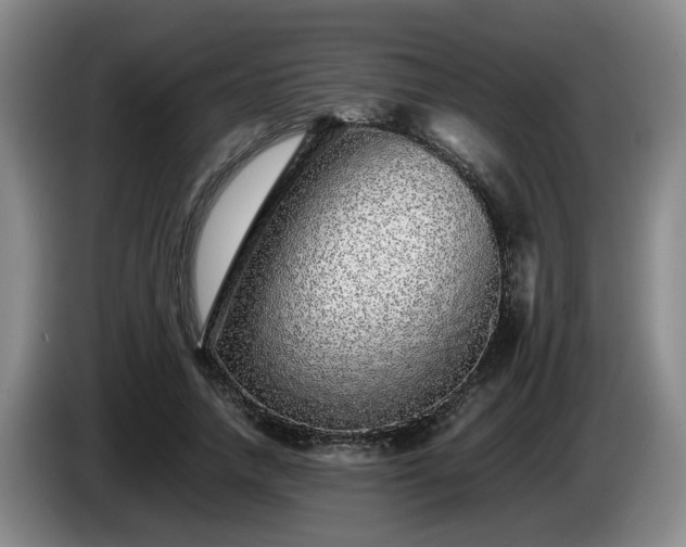 X0000085070738200703121641