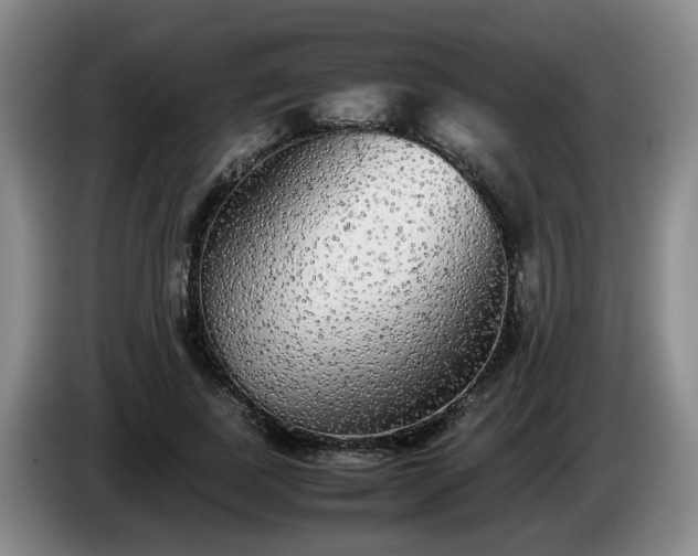 X0000085070739200703121641