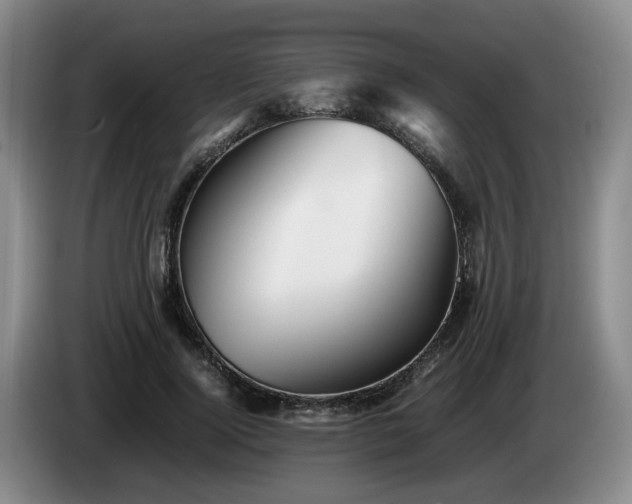 X0000085070740200703121641