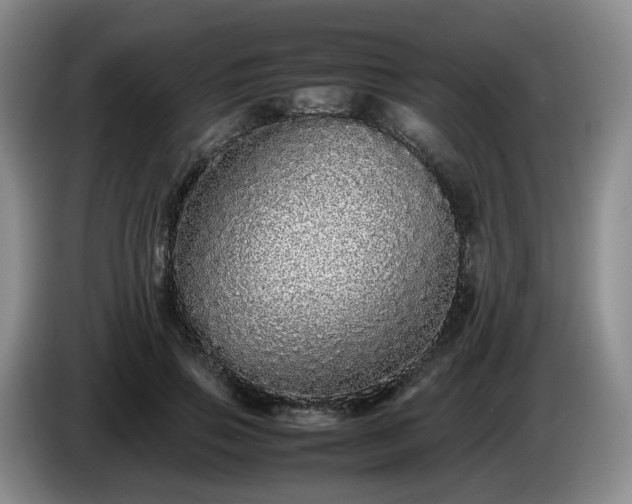 X0000085070741200703121641