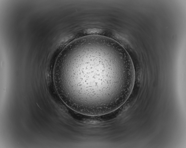 X0000085070743200703121641