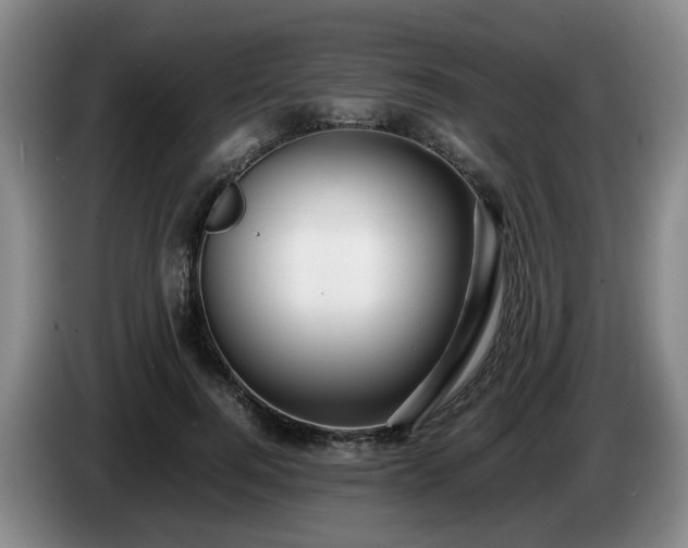 X0000085070744200703121641