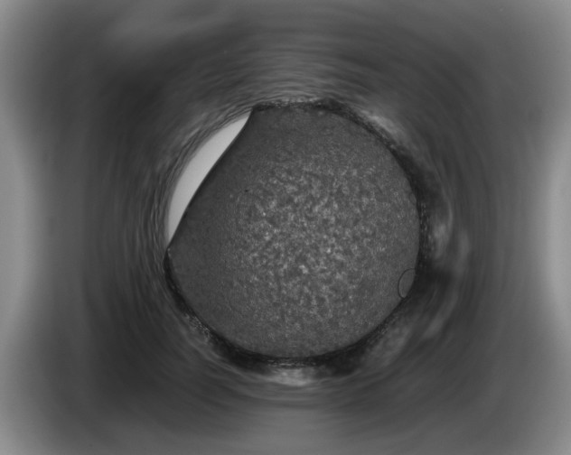 X0000085070746200703121641