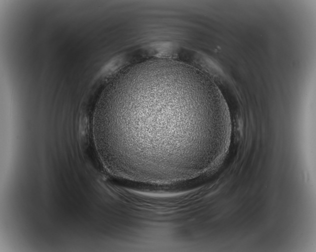 X0000085070748200703121641