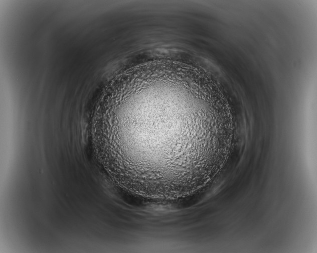 X0000085070749200703121641