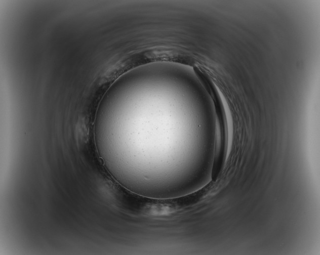 X0000085070751200703121641