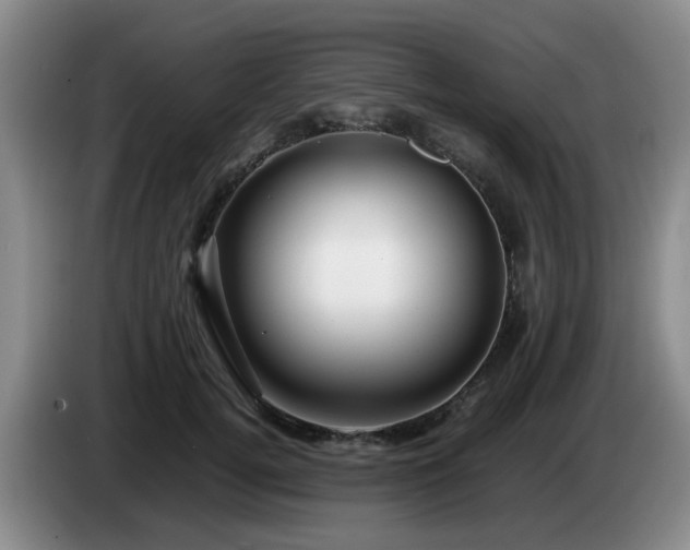 X0000085070752200703121641