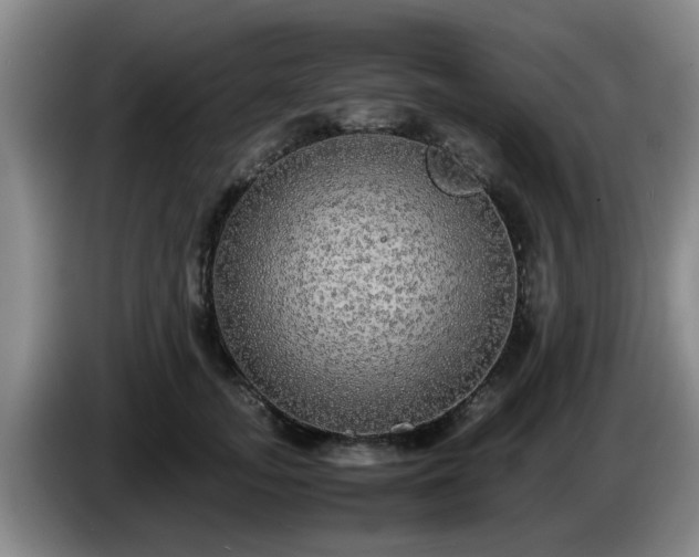 X0000085070755200703121641