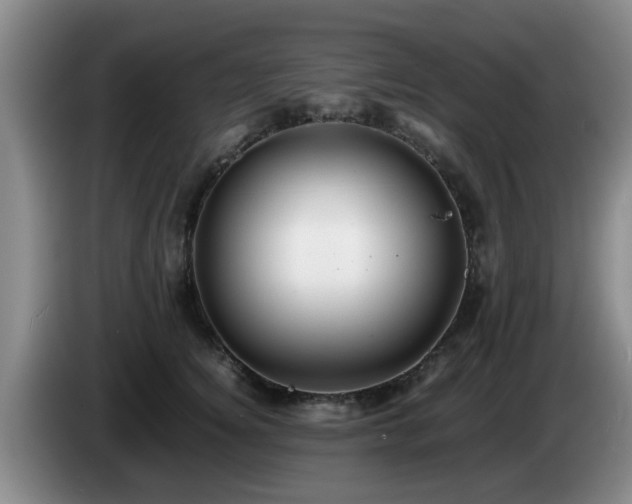 X0000085070756200703121641