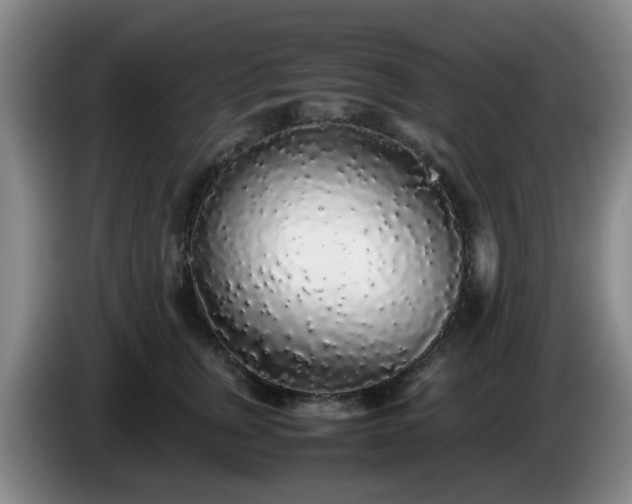 X0000085070759200703121641