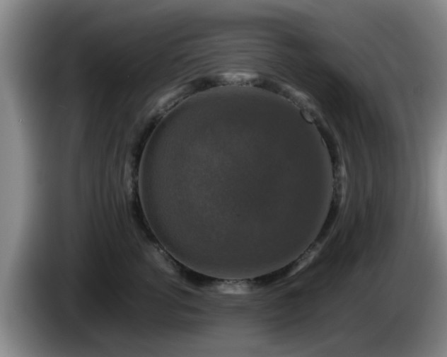 X0000085070762200703121642