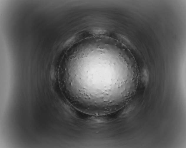 X0000085070763200703121642