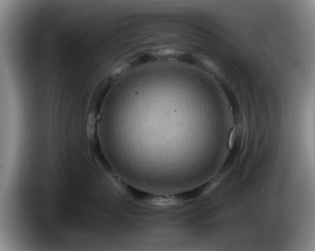 X0000085070767200703121642