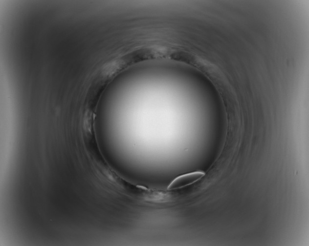 X0000085070768200703121642