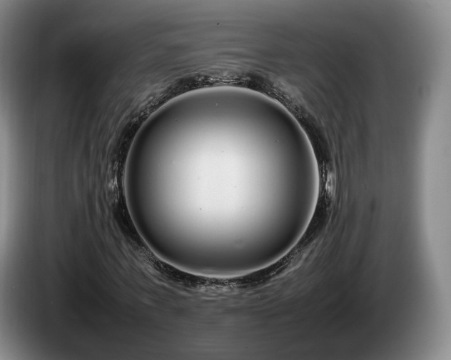 X0000085070771200703121641