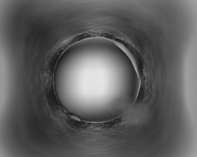 X0000085070773200703121641