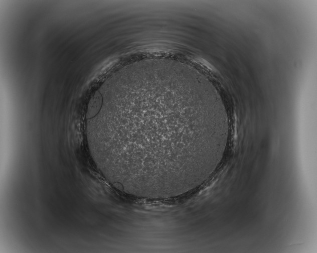 X0000085070774200703121641