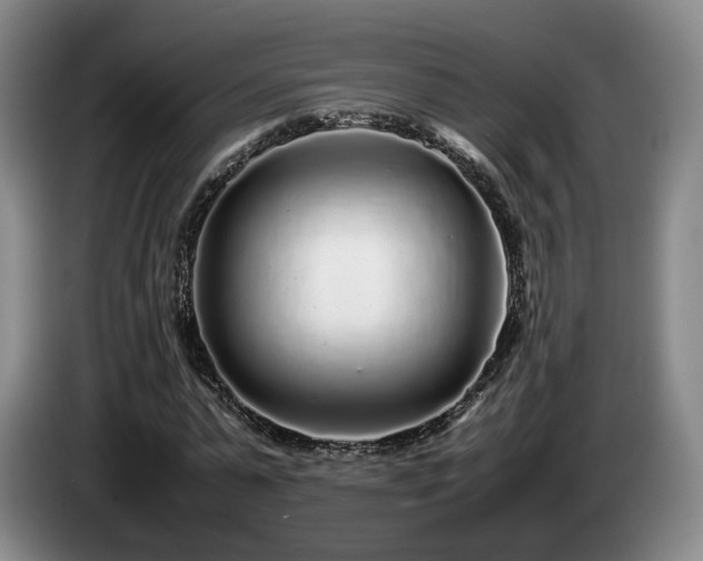 X0000085070775200703121641