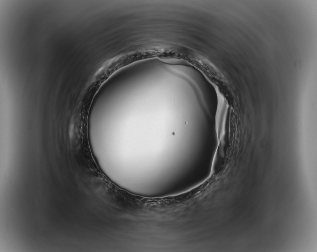 X0000085070776200703121641